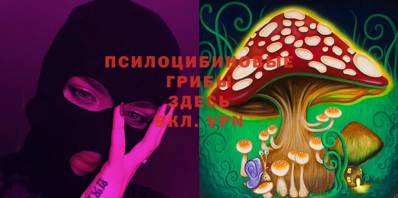 Псилоцибиновые грибы Psilocybine cubensis  MEGA как войти  Биробиджан 